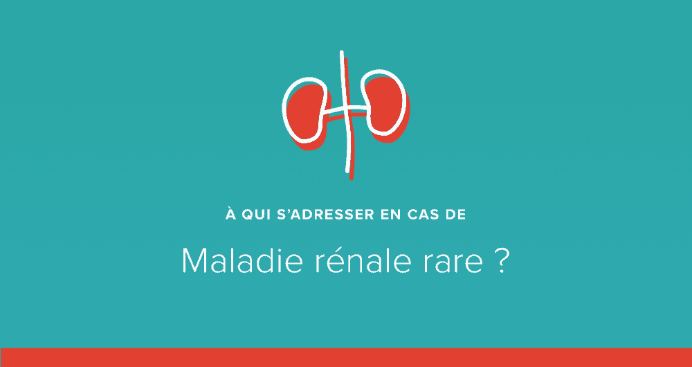 A qui s'adresser en cas de maladie rénale rare ?