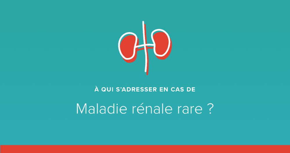 A qui s'adresser en cas de maladie rénale rare ?