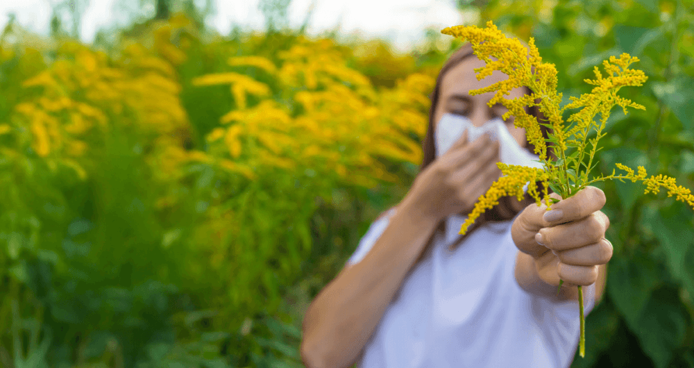 réaction cutanée allergie pollen