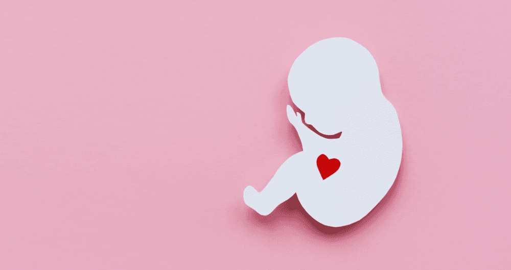 Comprendre la fausse couche