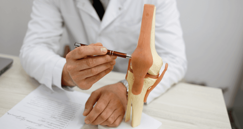 Quelle est la définition du mot "orthopédique" ?