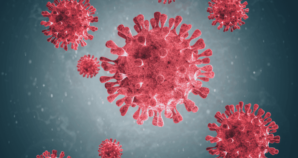 Cytomégalovirus (CMV) : quels sont les risques pendant la grossesse ?