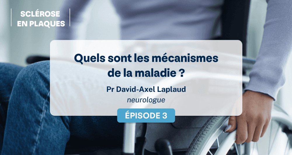 La sclérose en plaques : quels sont les mécanismes de la maladie ?