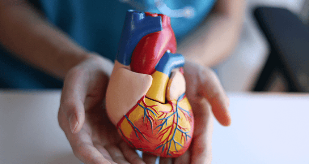 prolapsus mitral